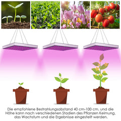 45W oder 15W LED Pflanzenlampe, Grow Lampe, Vollspektrum Pflanzenlicht für Hydroponic [Energieklasse A]