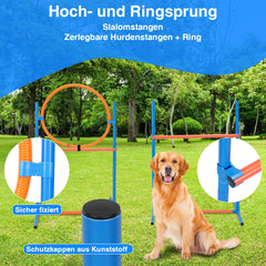 Hengda Agility Set Hunde groß, 5-teiliges Set Hundetraining zubehör Agility Hürde, Slalom, Agility Hürde, Sprungring & Hundetunnel