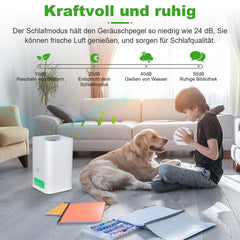 Hengda® Luftreiniger für Innenräume Klimaanlage