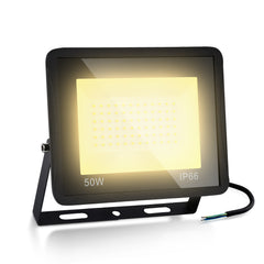 Hengda LED Strahler, 20/30/50/100W LED Fluter, Warmweiß/Kaltweiß Außenstrahler, IP66 Scheinwerfer (kein Stecker)