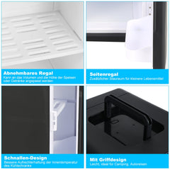 Hengda 2in1 Mini Kühlschrank Kühlbox 15L, Tragbarer Kühl- und Heizkühlschrank mit 220V AC/12V DC für den Auto- und Heimgebrauch [Energieklasse F]