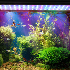 Hengda Aquarium LED Beleuchtung RGB Spectrum, Aquarienbeleuchtung Dimmbare, Aquarium Lampe mit ausziehbarer Halterung, Aquariumleuchte