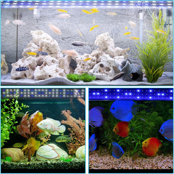 Hengda Aquarium LED Beleuchtung, 10W Aquarium Lampe,  einstellbare Helligkeit Aquariumbeleuchtung Weiß Blau Licht, für Süßwasser-Aquarien