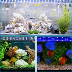 Hengda Aquarium LED Beleuchtung, 10W Aquarium Lampe,  einstellbare Helligkeit Aquariumbeleuchtung Weiß Blau Licht, für Süßwasser-Aquarien