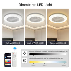 Hengda Deckenventilator mit RGB LED Beleuchtung, 6 Geschwindigkeiten,  Stufenloses Dimmen, φ49cm, Ventilator Lüfter Deckenlampe