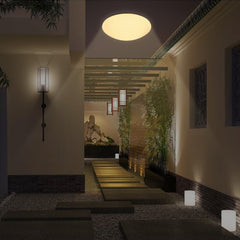 Hengda LED Deckenlampe mit Bewegungsmelder Deckenleuchte mit Tageslichtsensor Warmweiss 12W 960 Lumen Ø24 cm