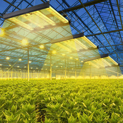 Hengda 150W LED Pflanzenlampe, LED Vollspektrum Grow Lampe, Grow Light Dimmbare, Wachstumslampe