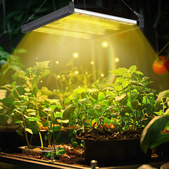Hengda 150W LED Pflanzenlampe, LED Vollspektrum Grow Lampe, Grow Light Dimmbare, Wachstumslampe