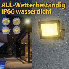 Hengda LED Strahler, 20/30/50/100W LED Fluter, Warmweiß/Kaltweiß Außenstrahler, IP66 Scheinwerfer (kein Stecker)