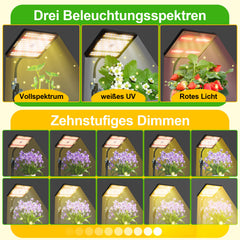 Hengda Pflanzenlampe LED mit Ständer, Höhenverstellbare Pflanzenleuchte LED Vollspektrum, 242 LEDs Grow Lampe