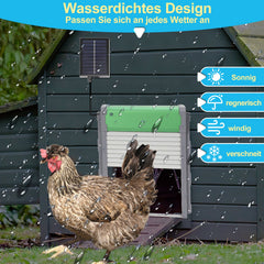 Hengda Aluminum Hühnerstall Hühnerklappe Solar Rolltor Automatische Hühnerklappe Elektrisch Hühnertür Rollladen Tür für Geflügel Hühnerhaus