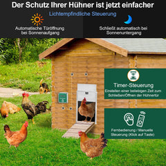 Hengda Hühnerklappe Automatische Hühnertür Mit Fernsteuerung, für sichere Hühnerhaltung, Multi-Modi-hühnerklappe, 30x60cm