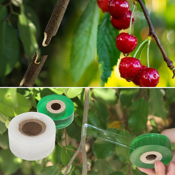 Hengda Ratschenschere 2-in-1 Profischere Obstbaum Veredelungsschere Garten Zweigschere