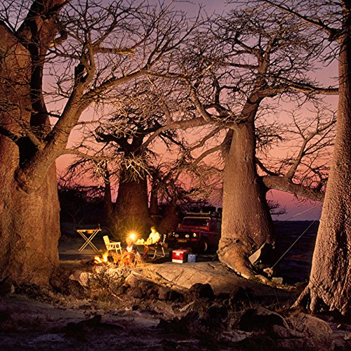 Hengda 30W Warmweiß Blau LED Akku Strahler IP65