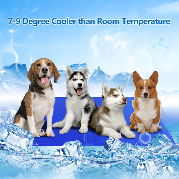 Hund Kühldecke Kühlakku Haustier Abkühlung selbstkühlend Haustiermatte S/M/L/XL