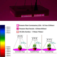 Hengda LED Pflanzenlampe 300W Gemüse Zimmerpflanzen Pflanzenleuchte