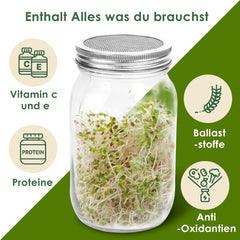 Hengda Sprossenglas Keimglas 2er Set 950ML Sprossenglas mit Deckel & Sieb Sprossen Keimgerät für Alfalfa Kresse Brokkoli