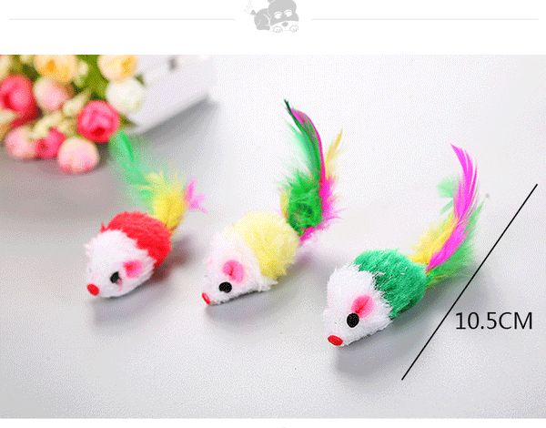 20St Katzenspielzeug gemischt Spielzeug Kratzspielzeug Toy