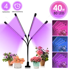 Hengda Pflanzenlampe LED, 40W oder 30W Vollspektrum Pflanzenleuchte, 4 Heads oder 3 Heads 80LEDs Grow Lampe Zimmerpflanzen Wachstumslampe